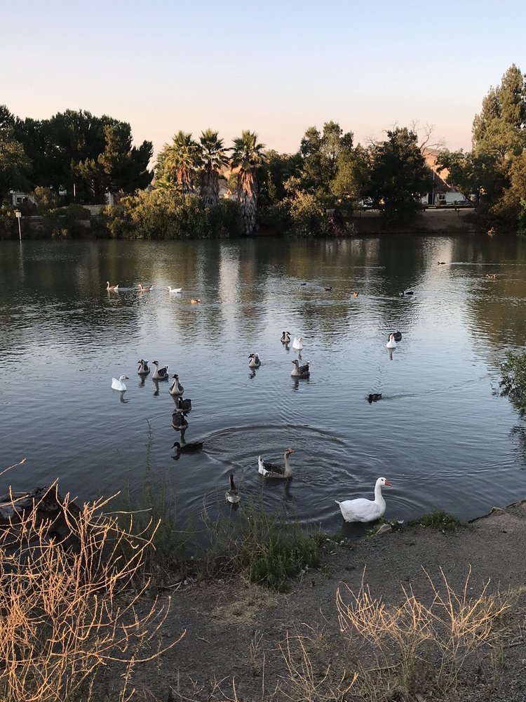 NEWHALL COMMUNITY PARK 211 Photos & 94 Reviews Turtle Creek Rd & Ayers Rd, Concord