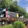 Photo of Ruibal's Plants of Texas