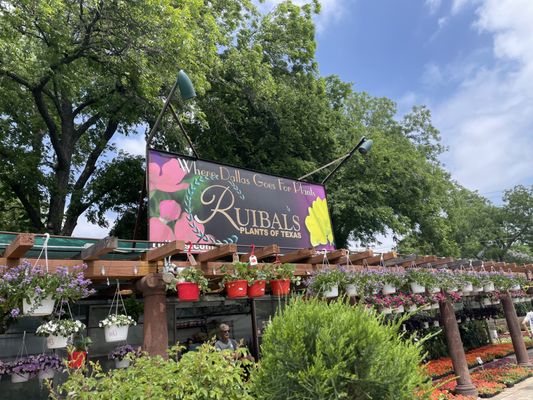 Ruibal's Plants of Texas