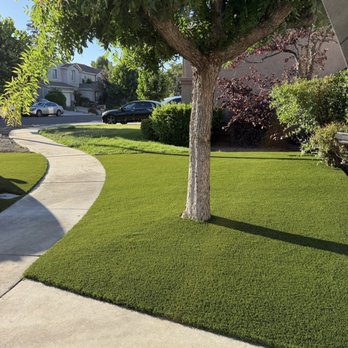Turf World - Should have done this 10 years ago. Beautiful result, high quality turf and craftsmanship. - Artificial Turf Near Me - San Leandro, California Turf World - Should have done this 10 years ago. Beautiful result, high quality turf and craftsmanship. - Artificial Turf Near Me - San Leandro, California