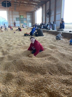 Dehns Pumpkins by null