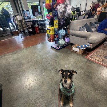 Fleet Feet - Dog, friendly store! - Shoe Stores Near Me - Sacramento, California Fleet Feet - Dog, friendly store! - Shoe Stores Near Me - Sacramento, California