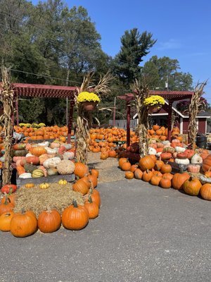 Depaul's Urban Farm by null