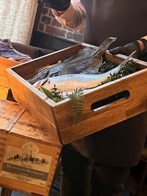 La Finestra in Cucina by null