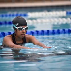 Sharks & Minnows Swim School