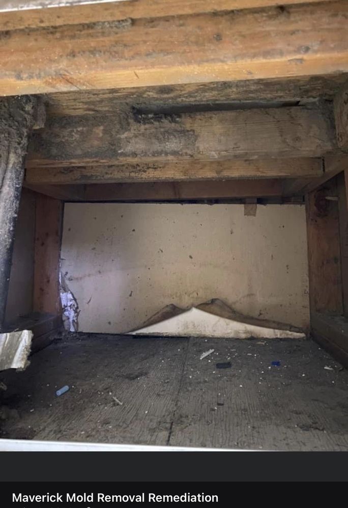 MAVERICK MOLD REMEDIATION & FLOOD RESPONSE with photos Updated August 2024 23 Photos 82402