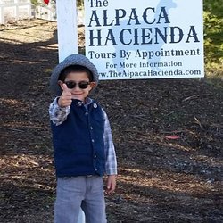 The Alpaca Hacienda
