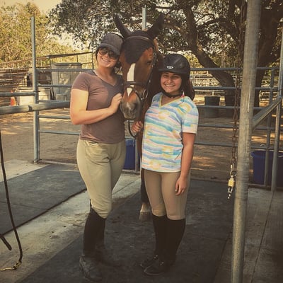 Le Cheval Sport Horses by null