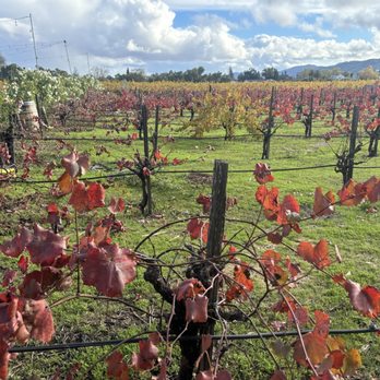 V Sattui Winery - Wineries Near Me - Saint Helena, California V Sattui Winery - Wineries Near Me - Saint Helena, California