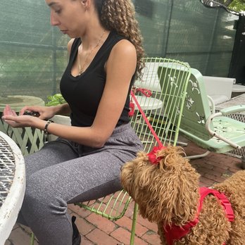 Muchacho - Candid on the Muchacho patio. - Tacos Near Me - Atlanta, Georgia