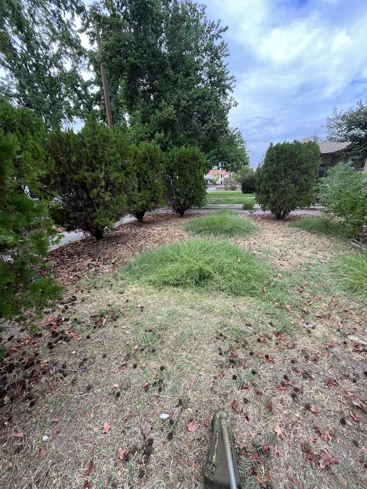 SOLO GREEN LAWN SERVICE Fresno, California Lawn Services Phone