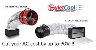 Slide of Bizzy Bee Builders