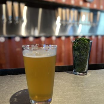 Brewlando Brewing - Breweries Near Me - Orlando, Florida Brewlando Brewing - Breweries Near Me - Orlando, Florida
