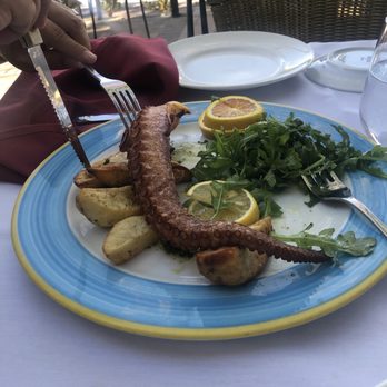 Mimi' & Coco' Bistro - Octopus whole tentacles - Cocktail Bars Near Me - Henderson, Nevada Mimi' & Coco' Bistro - Octopus whole tentacles - Cocktail Bars Near Me - Henderson, Nevada