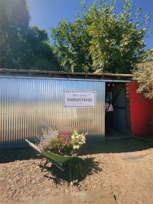 Peace and Plenty Farm by null