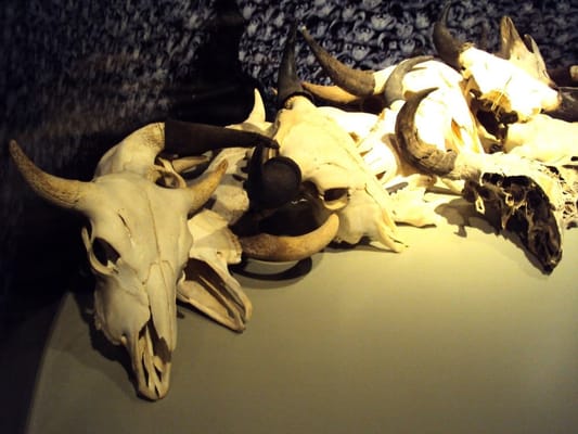 C. M. Russell Museum by null