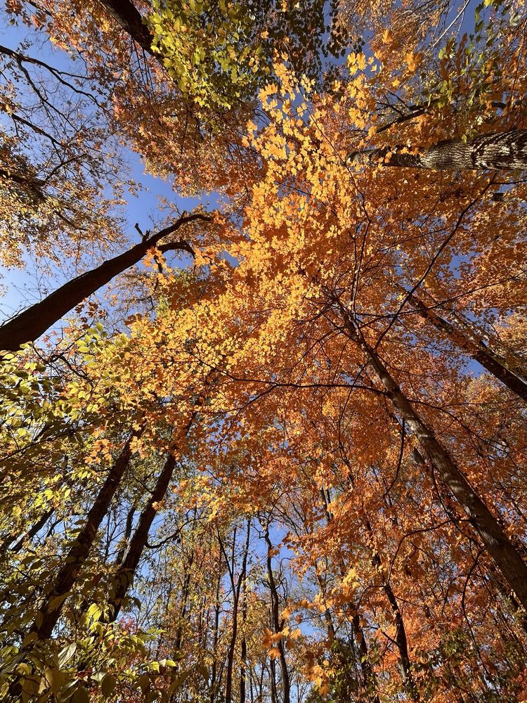 Stonelick Lake State Park