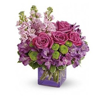 Jasmine Creek Florist - Flowers & Gifts Near Me - El Cajon, California Jasmine Creek Florist - Flowers & Gifts Near Me - El Cajon, California