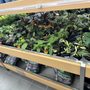 Photo of Canadian Tire
