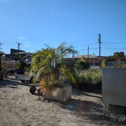 First Image Nursery
