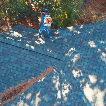 Mr. Beaver Tree Service - Landscaping Near Me Mr. Beaver Tree Service - Landscaping Near Me