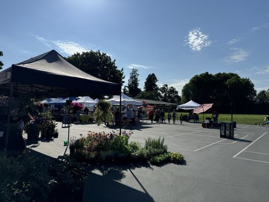 Willow Glen Farmers' Market by null