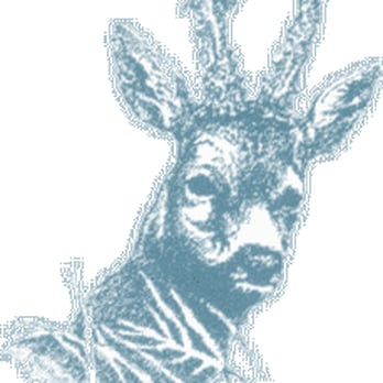 The Roebuck - Roebuck - Pubs Near Me - London, XGL