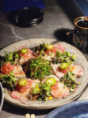 bashi by null