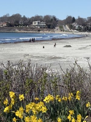 The Chanler at Cliff Walk by null