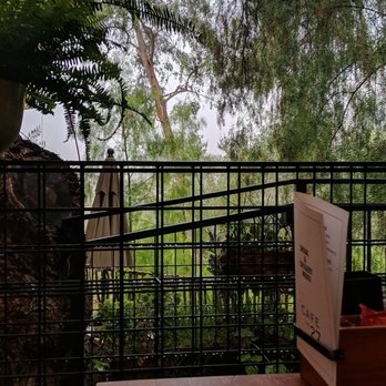 Cafe on 27 - Outdoor seating on Rainy day - Breakfast & Brunch Near Me - Topanga, California