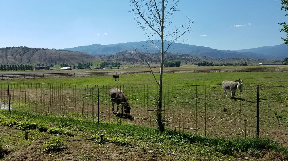 Slide of Drains 24/7