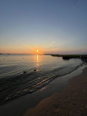 Macky's Bayside Bar & Grill by null