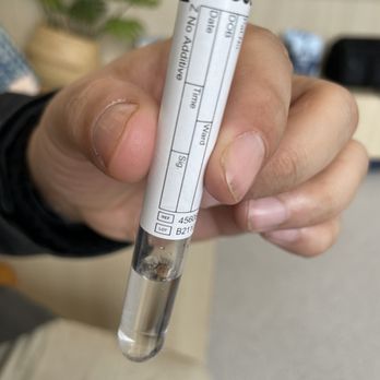 Bond Vet - Garden City - Tick removed - Veterinarians Near Me - Garden City, New York Bond Vet - Garden City - Tick removed - Veterinarians Near Me - Garden City, New York