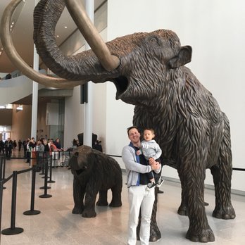 Royal Alberta Museum - Museums Near Me - Edmonton, Alberta