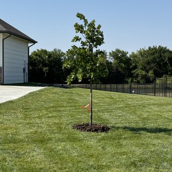Pierpoint Tree Farm - Nurseries & Gardening Near Me - Valley Center, Kansas Pierpoint Tree Farm - Nurseries & Gardening Near Me - Valley Center, Kansas