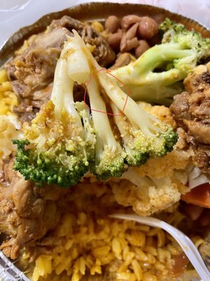 Bridge Coffee Shop by null