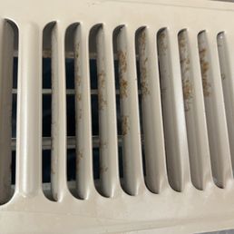 Dirty vent covers caked in who knows what