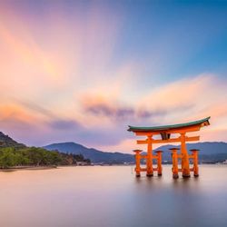 Lake Zurich Travel & Cruise