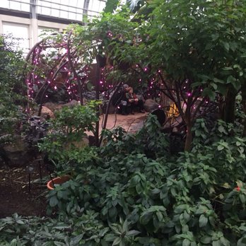 Garfield Park Conservatory - Interior of Conservatory - Parks Near Me - Chicago, Illinois