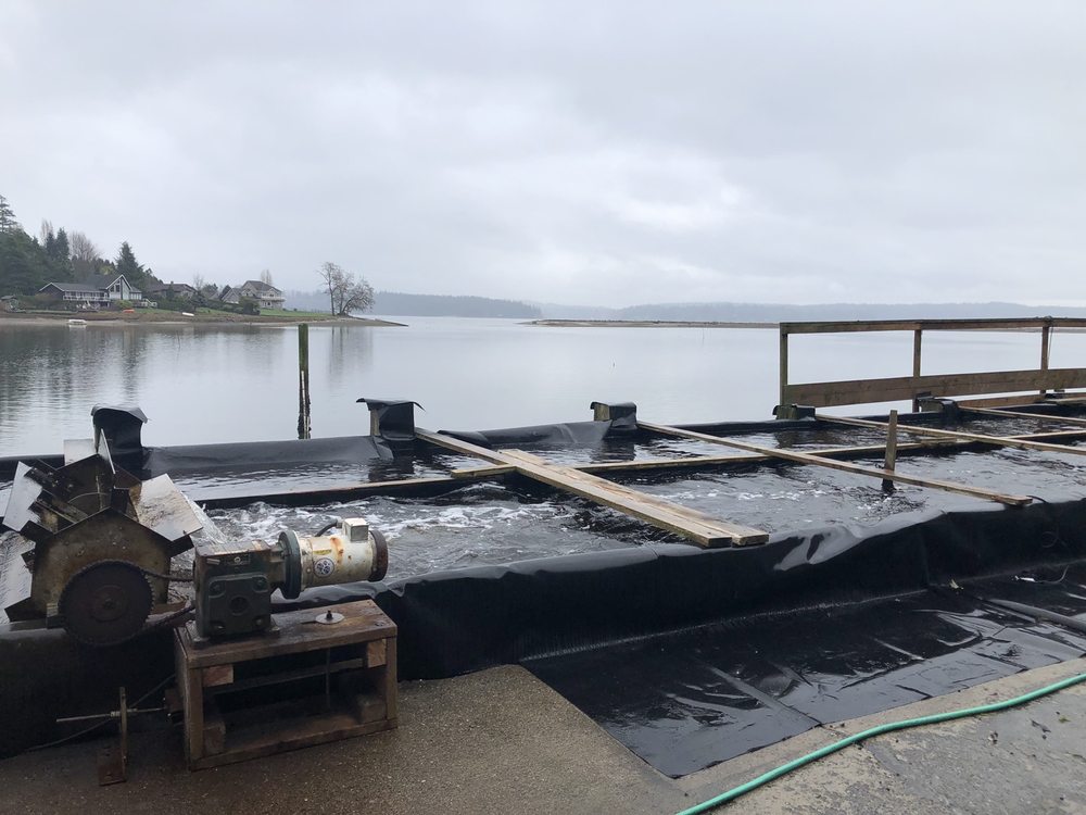 MINTERBROOK OYSTER 40 Photos & 14 Reviews 12002 114th Street Court