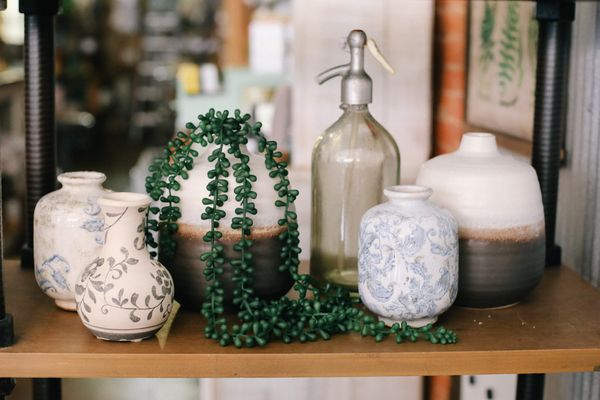 Blue Spruce Boutique