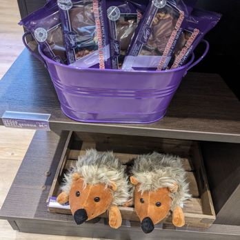Purdys Chocolatier - Cute hedgehog plushies - Chocolatiers & Shops Near Me - Ajax, Ontario