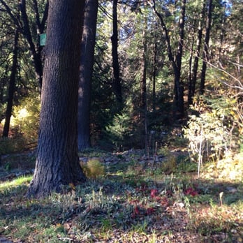 Mt. Shasta City Park - Parks Near Me - Mount Shasta, California Mt. Shasta City Park - Parks Near Me - Mount Shasta, California