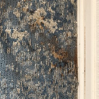 The Westin Westminster - There were stains like this all over the carpet - Hotels Near Me - Westminster, Colorado The Westin Westminster - There were stains like this all over the carpet - Hotels Near Me - Westminster, Colorado