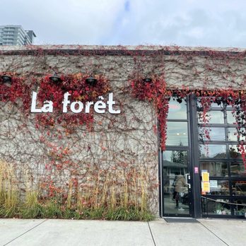 La Forêt - Coffee & Tea Near Me - Burnaby, British Columbia La Forêt - Coffee & Tea Near Me - Burnaby, British Columbia
