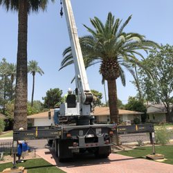 Harris & Sons Tree Specialist