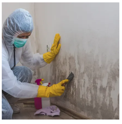 Mold Removal - At Z-CON Specialty Services, Inc. we pride ourselves on top quality customer service and stand behind all our work. We have been offering residential and commercial services in this area since 1994. Mold Removal - At Z-CON Specialty Services, Inc. we pride ourselves on top quality customer service and stand behind all our work. We have been offering residential and commercial services in this area since 1994.
