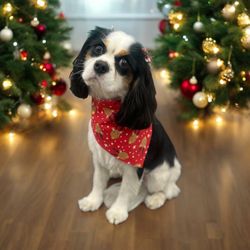 Wag N' Wash Natural Pet Food & Grooming - Daisy