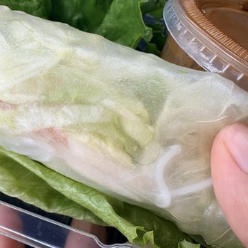 Pho Long Beach - A hair in my spring roll. - Vietnamese Near Me - Long Beach, California Pho Long Beach - A hair in my spring roll. - Vietnamese Near Me - Long Beach, California