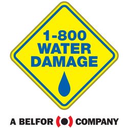 1-800 WATER DAMAGE of Roanoke & NRV - 1-800 WATER DAMAGE of Roanoke & NRV 24015 Company Logo